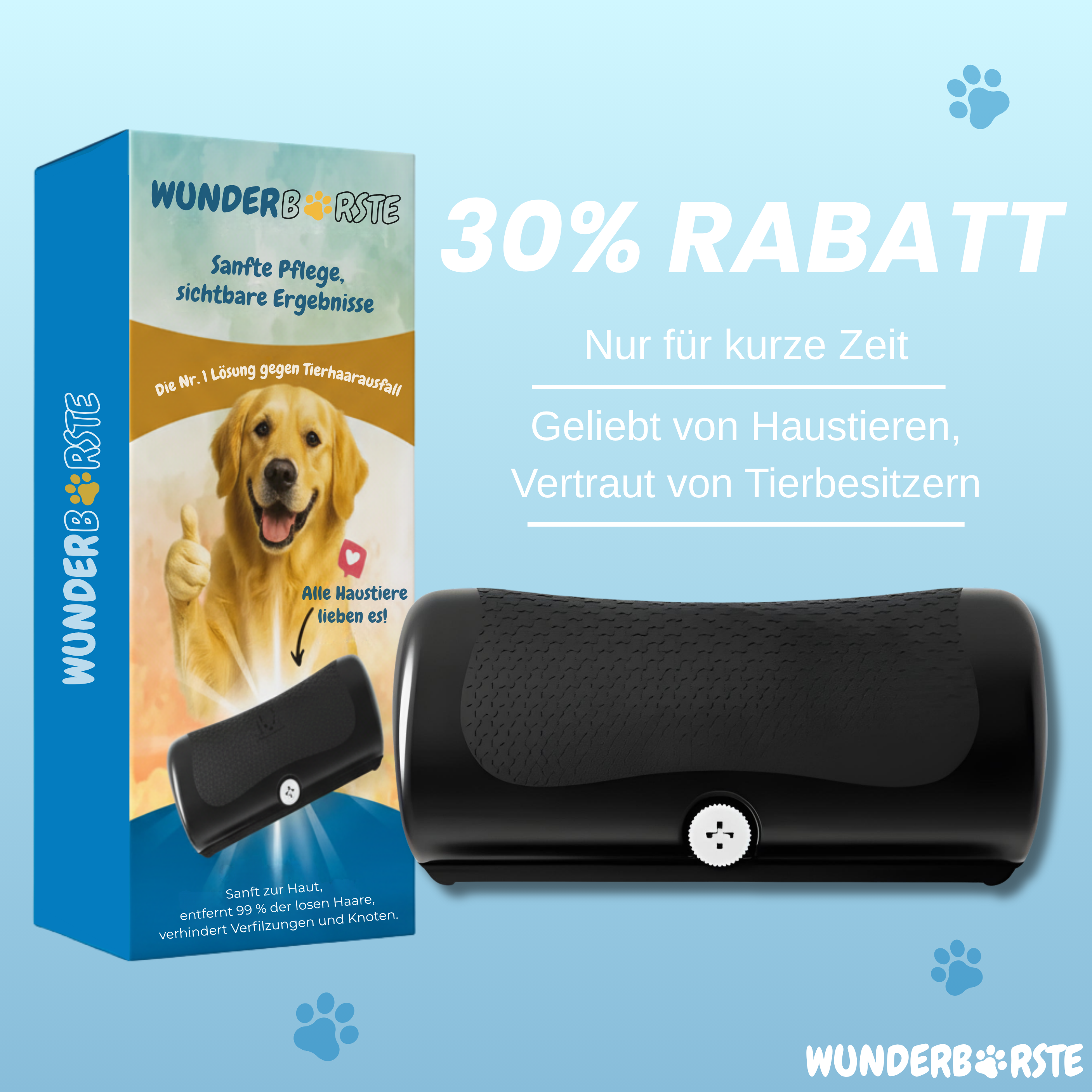 Wunderbürste