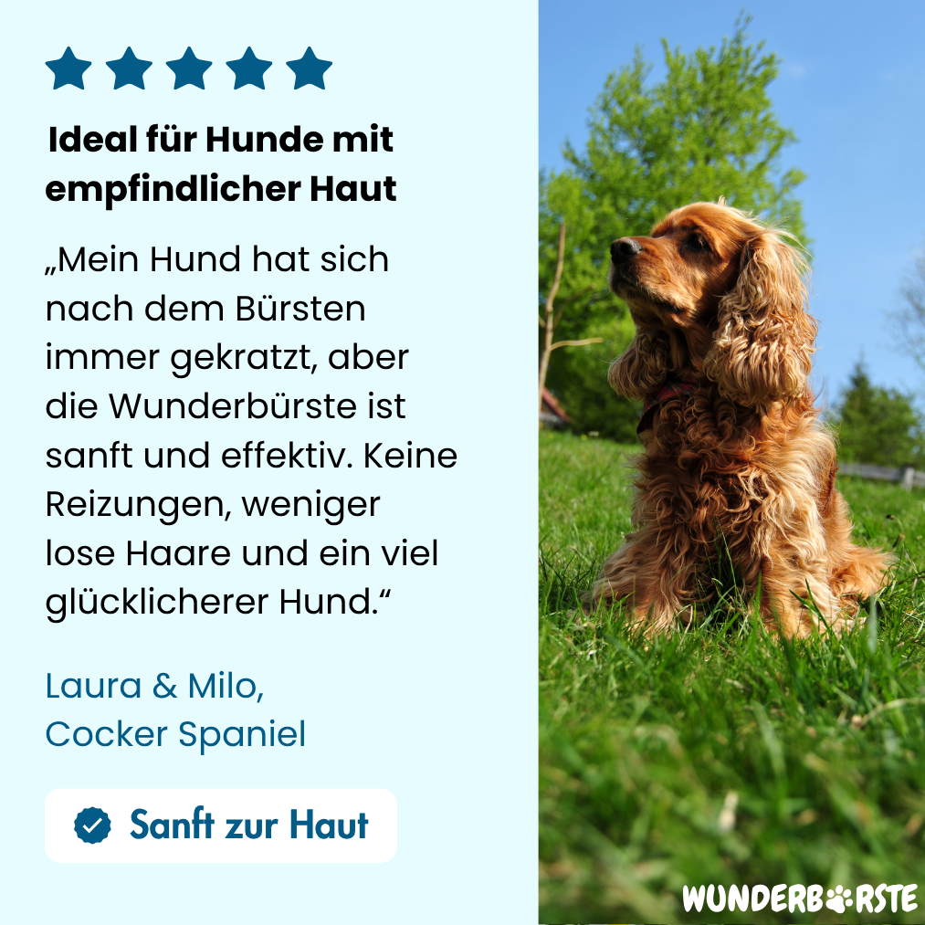 Wunderbürste