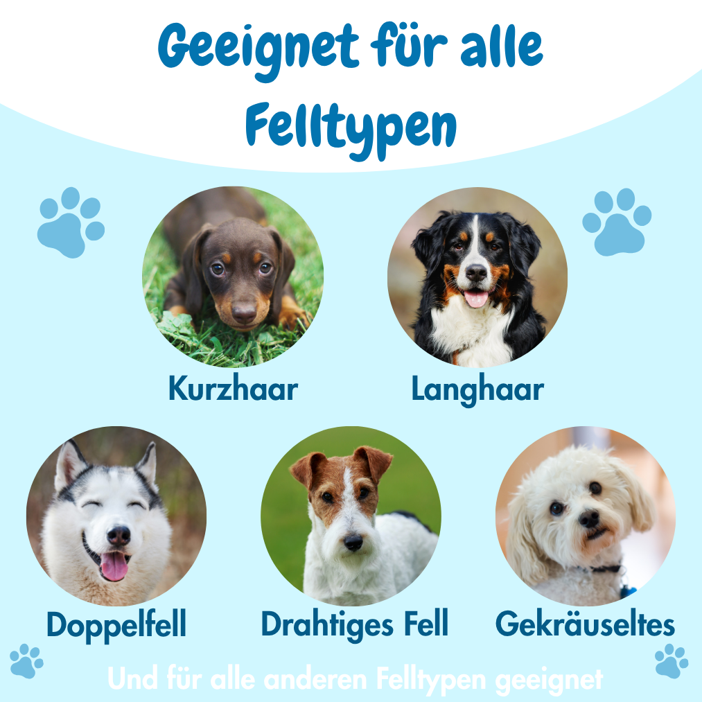 Wunderbürste