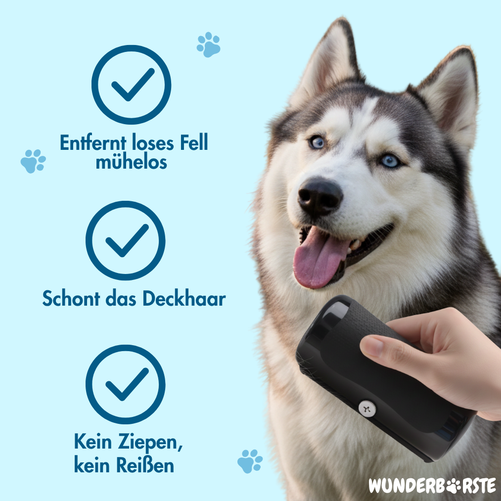 Wunderbürste