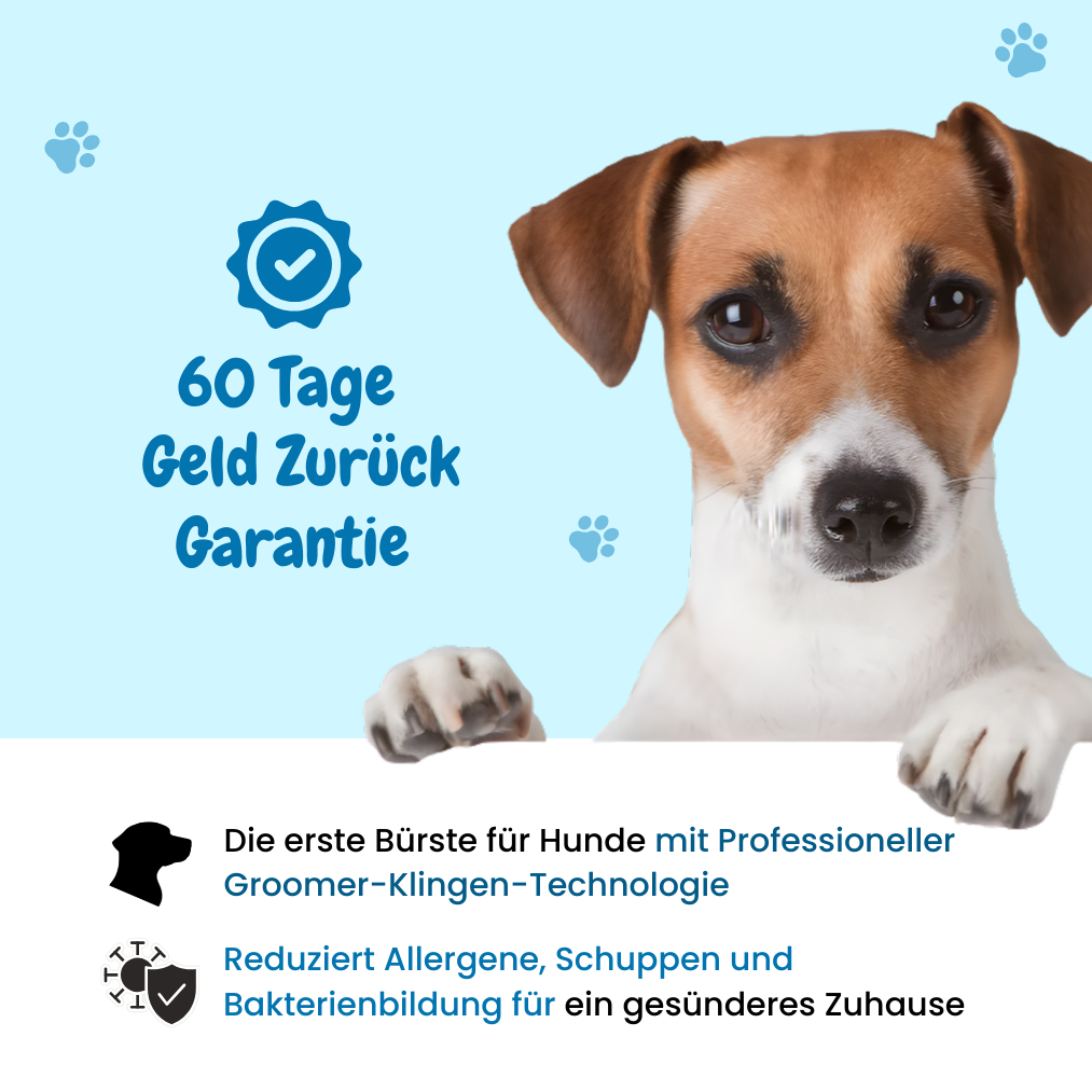Wunderbürste