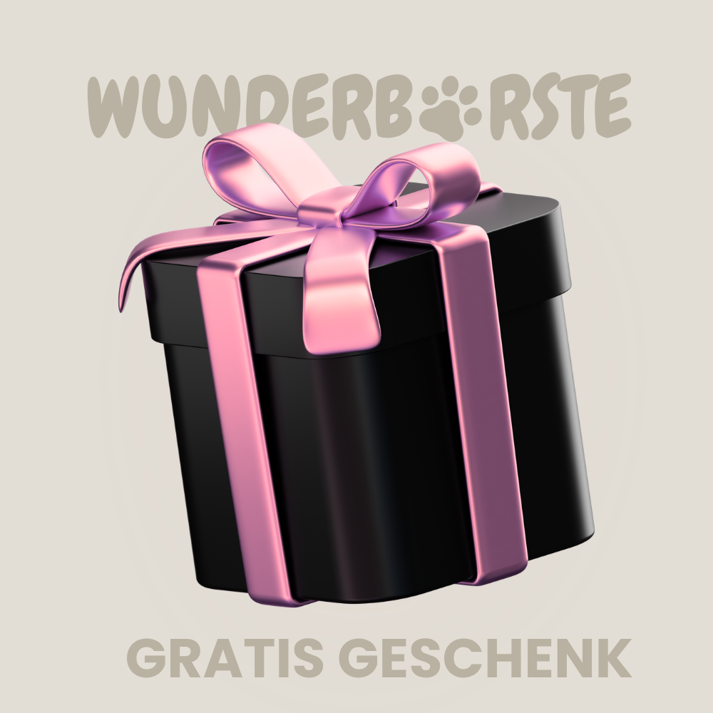 KOSTENLOS: Überraschungs-Geschenk